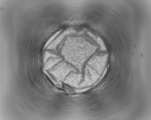 X0000069831300200606161930