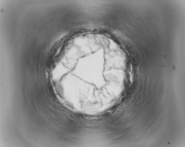 X0000069831302200606161930