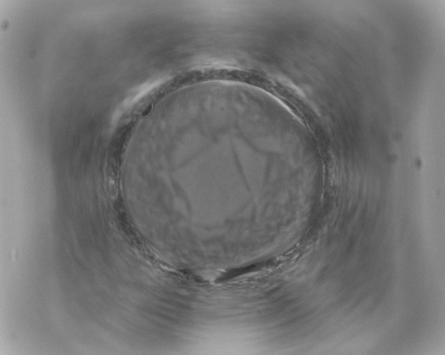 X0000069831303200606161930