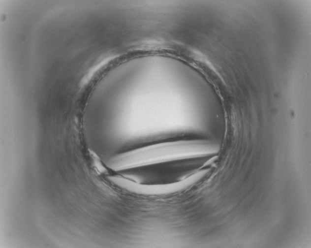 X0000069831304200606161930