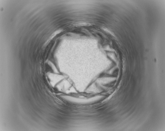 X0000069831305200606161930