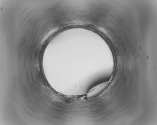 X0000069831307200606161930