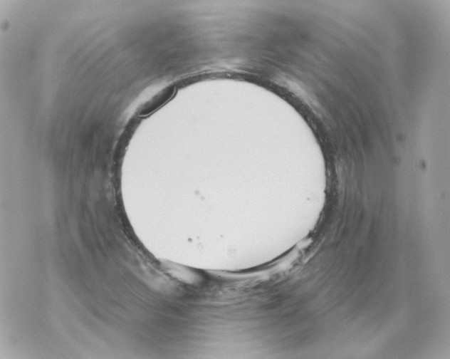 X0000069831308200606161930