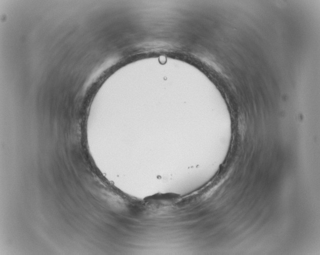 X0000069831309200606161930