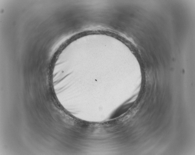 X0000069831311200606161930