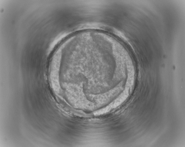 X0000069831312200606161930