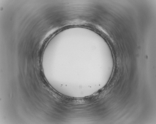 X0000069831315200606161930