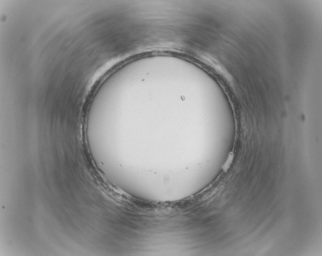 X0000069831316200606161930