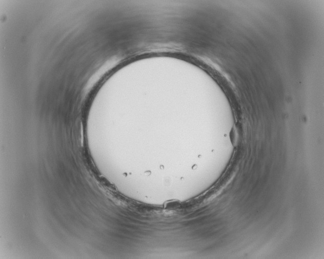 X0000069831317200606161930