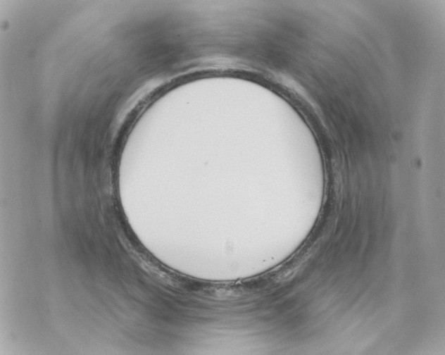 X0000069831318200606161930