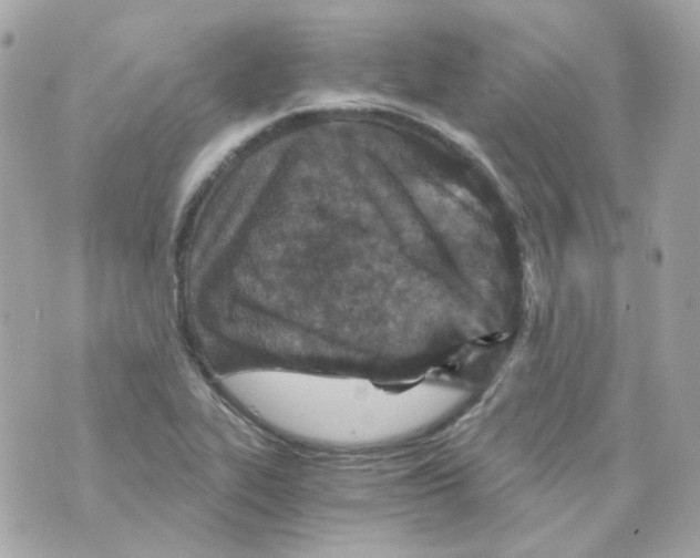 X0000069831319200606161930