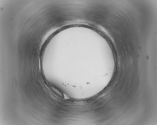 X0000069831320200606161930