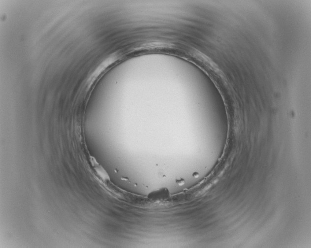 X0000069831321200606161930