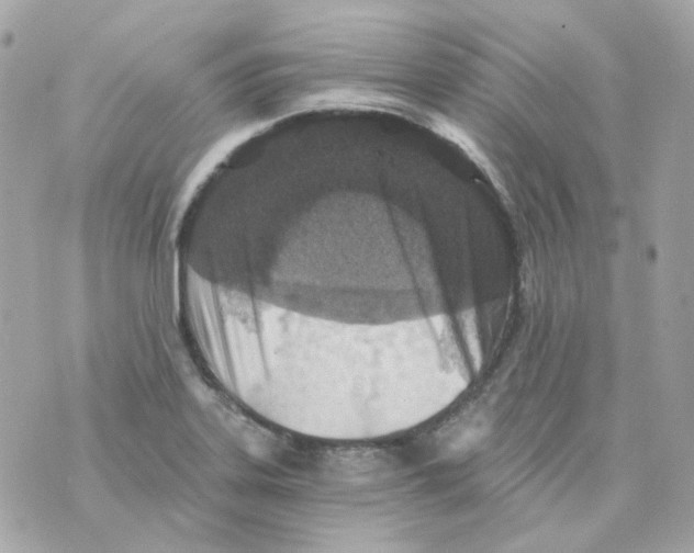 X0000069831323200606161930