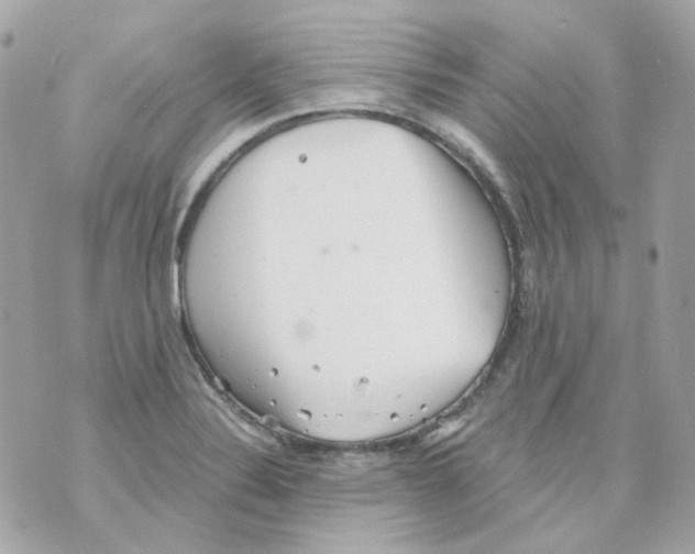 X0000069831324200606161930