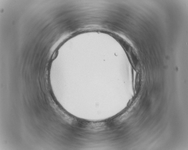 X0000069831325200606161930