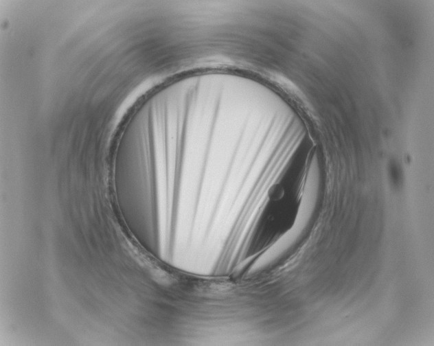 X0000069831326200606161930