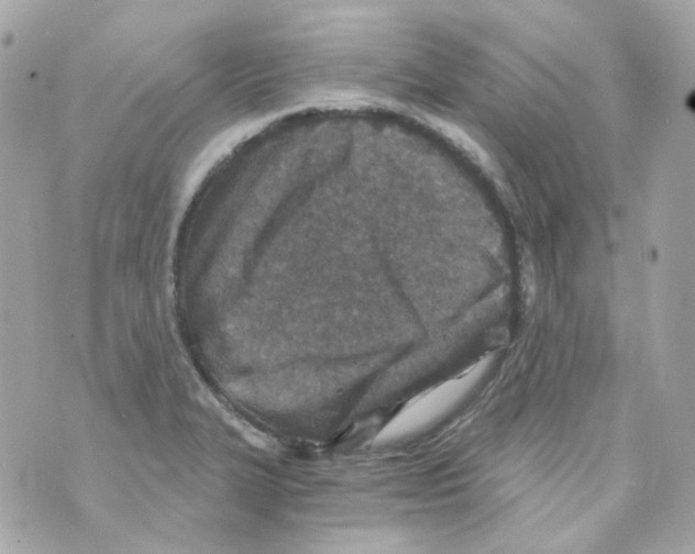 X0000069831327200606161930