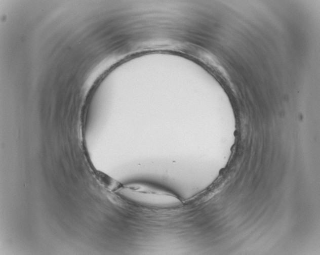 X0000069831328200606161930