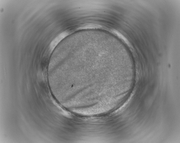 X0000069831329200606161930