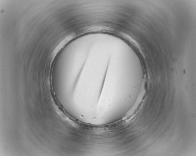 X0000069831330200606161930