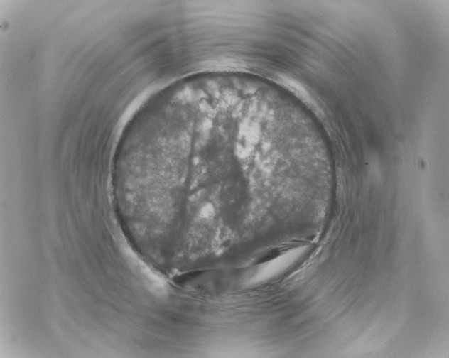 X0000069831331200606161930