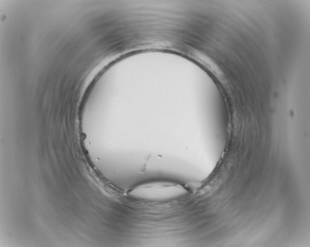 X0000069831332200606161930