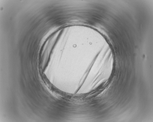 X0000069831333200606161930