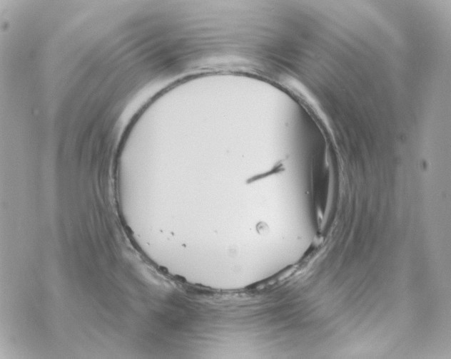 X0000069831336200606161931