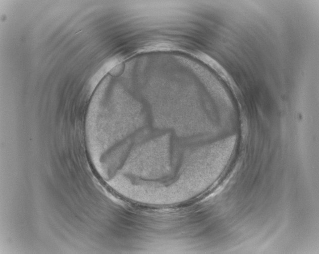 X0000069831337200606161931