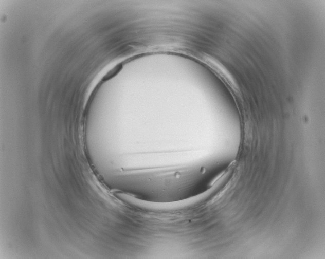 X0000069831340200606161931