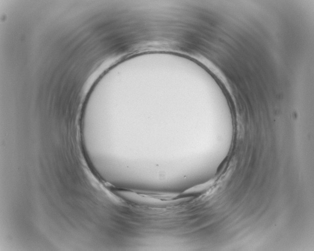 X0000069831341200606161931