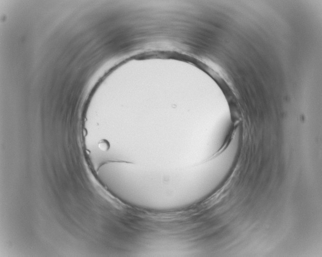 X0000069831342200606161931