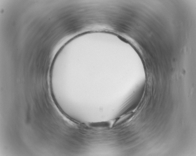 X0000069831343200606161931