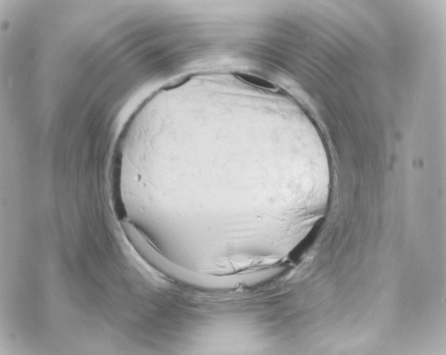 X0000069831344200606161931