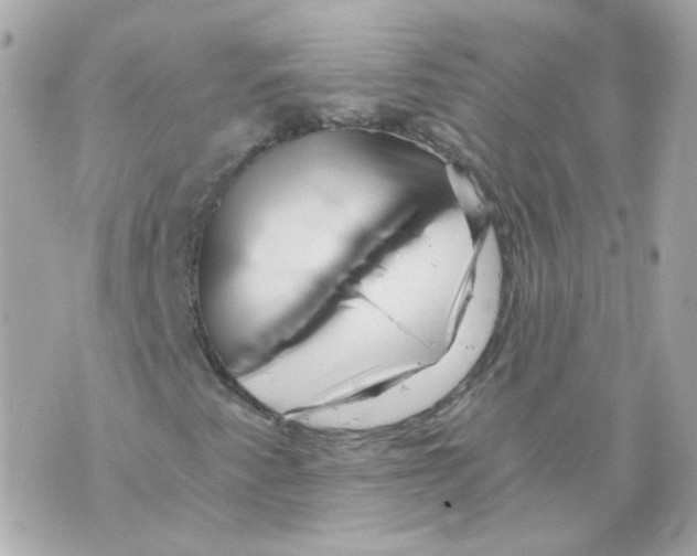 X0000069831345200606161930