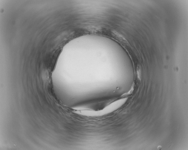 X0000069831347200606161930