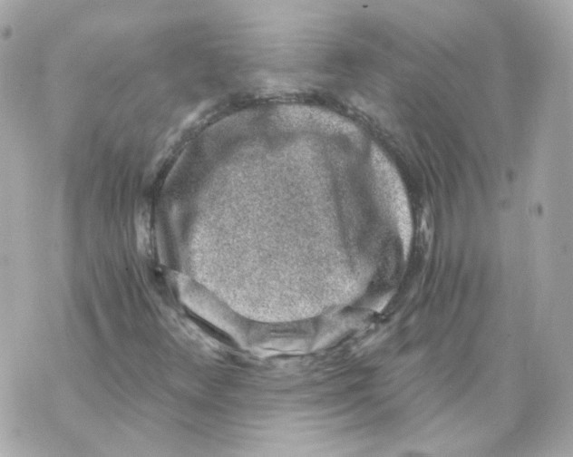 X0000069831348200606161930