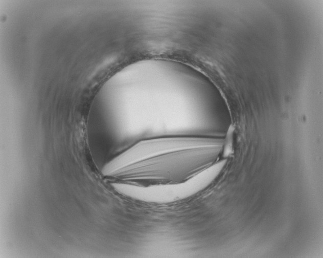 X0000069831349200606161930