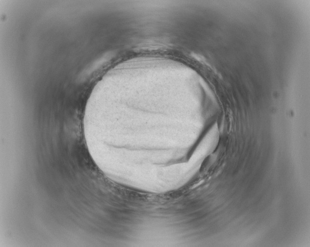 X0000069831350200606161930