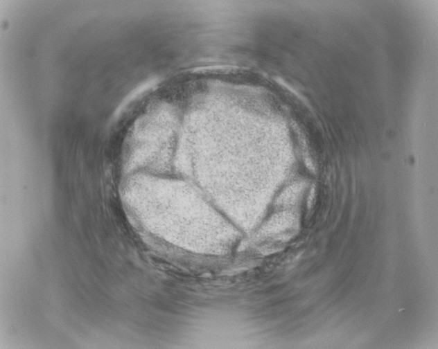 X0000069831351200606161930