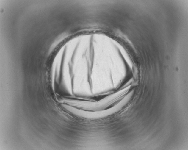 X0000069831352200606161930