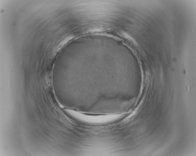 X0000069831353200606161930