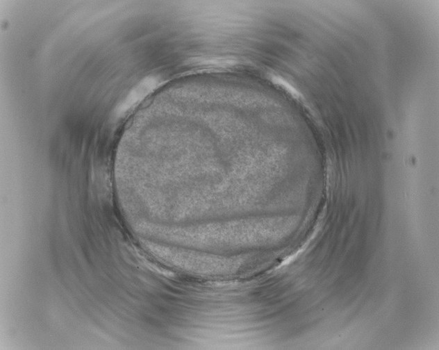 X0000069831354200606161930