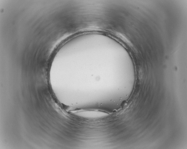 X0000069831356200606161930