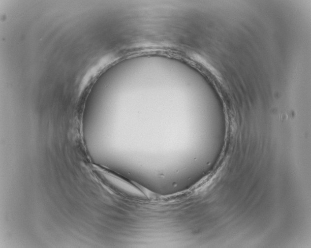 X0000069831357200606161930