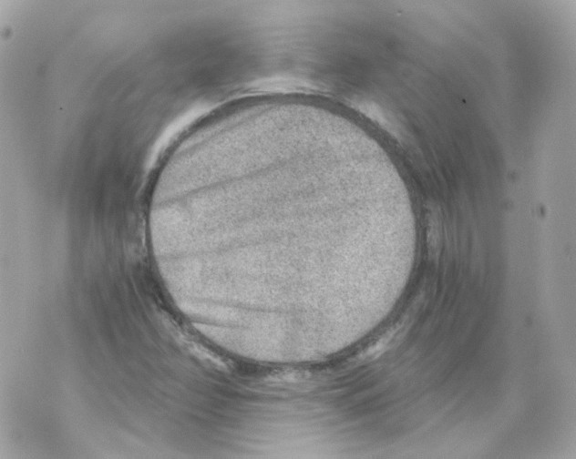 X0000069831358200606161930