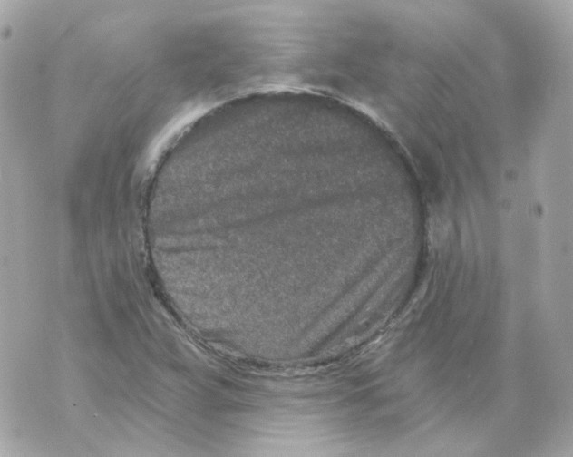 X0000069831359200606161930