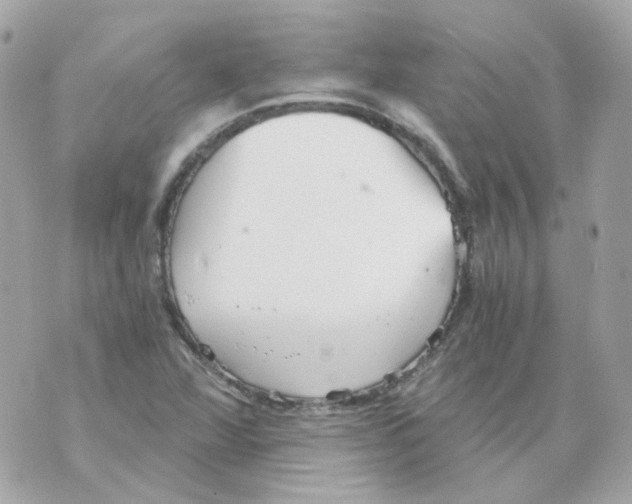 X0000069831360200606161930