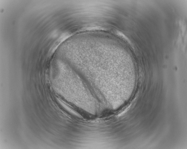 X0000069831361200606161930